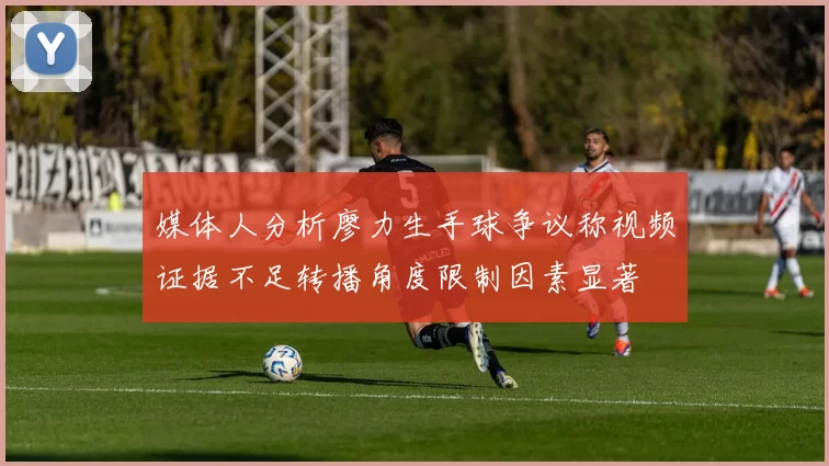 媒体人分析廖力生手球争议称视频证据不足转播角度限制因素显著